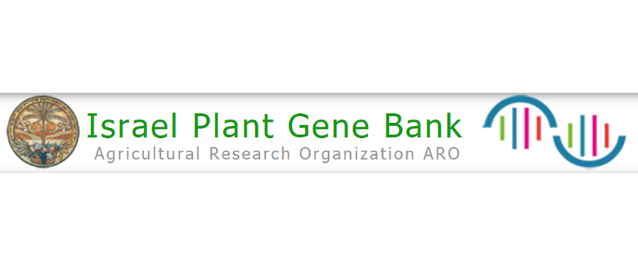 Israel Plant Gene Bank——以色列植物基因庫(kù)