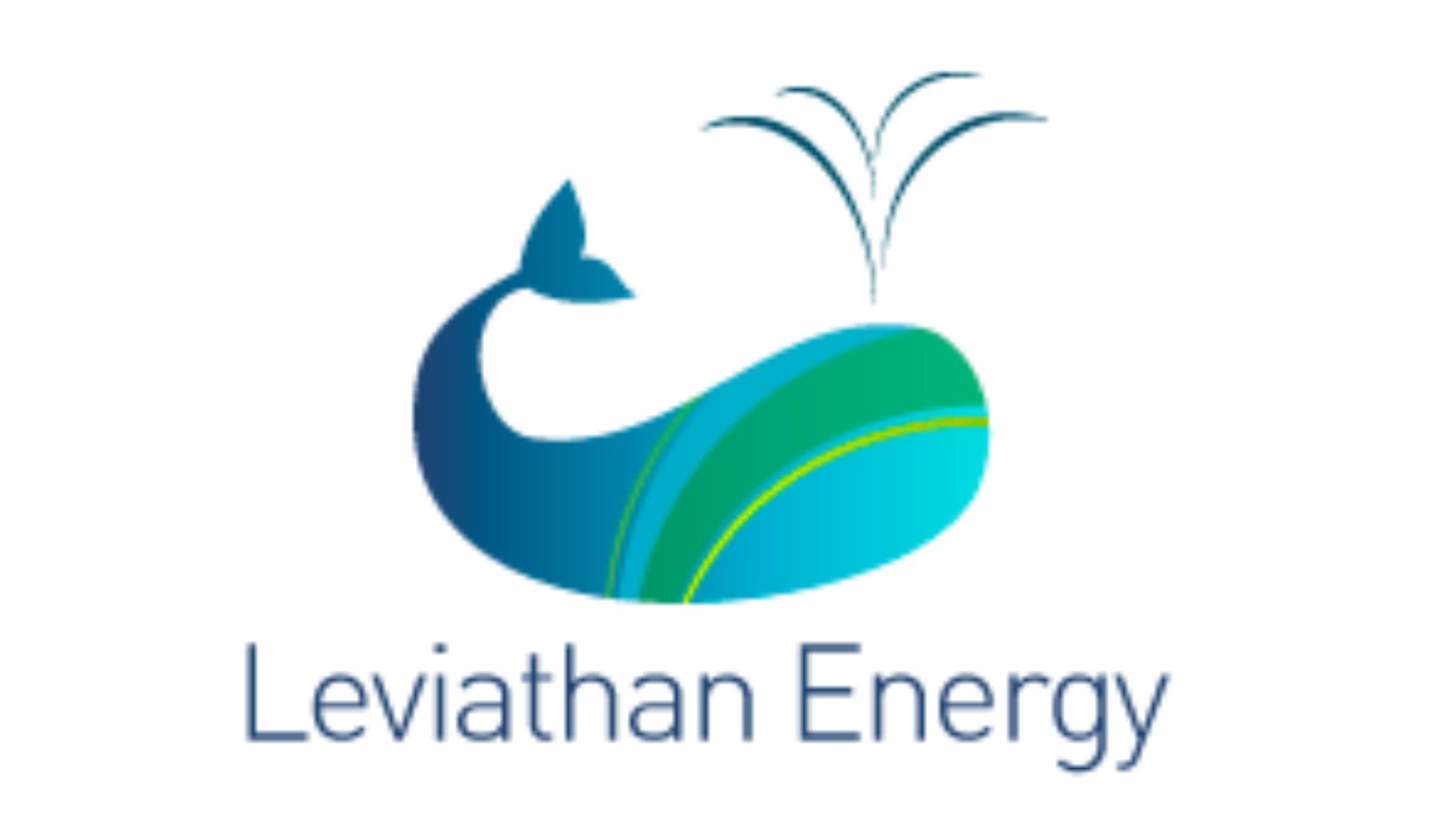 以色列利維坦能源公司LEVIATHAN ENERGY致力于風(fēng)能，水能和波浪能相關(guān)新能源技術(shù)開發(fā)