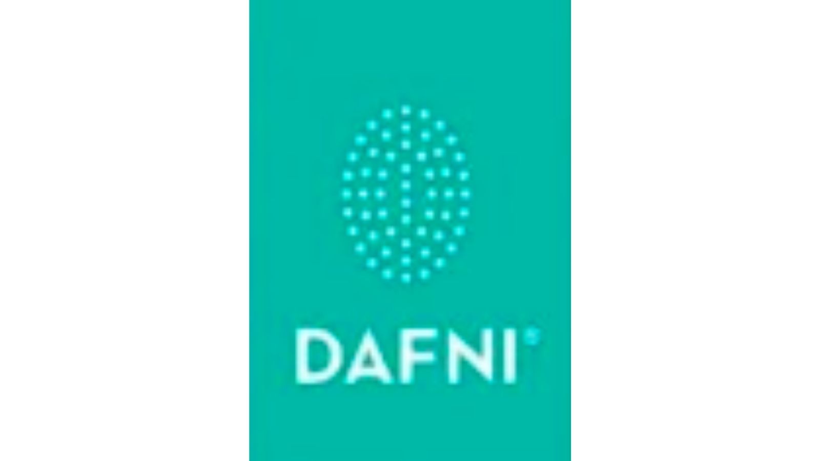 DAFNI，世界第一款直發(fā)梳