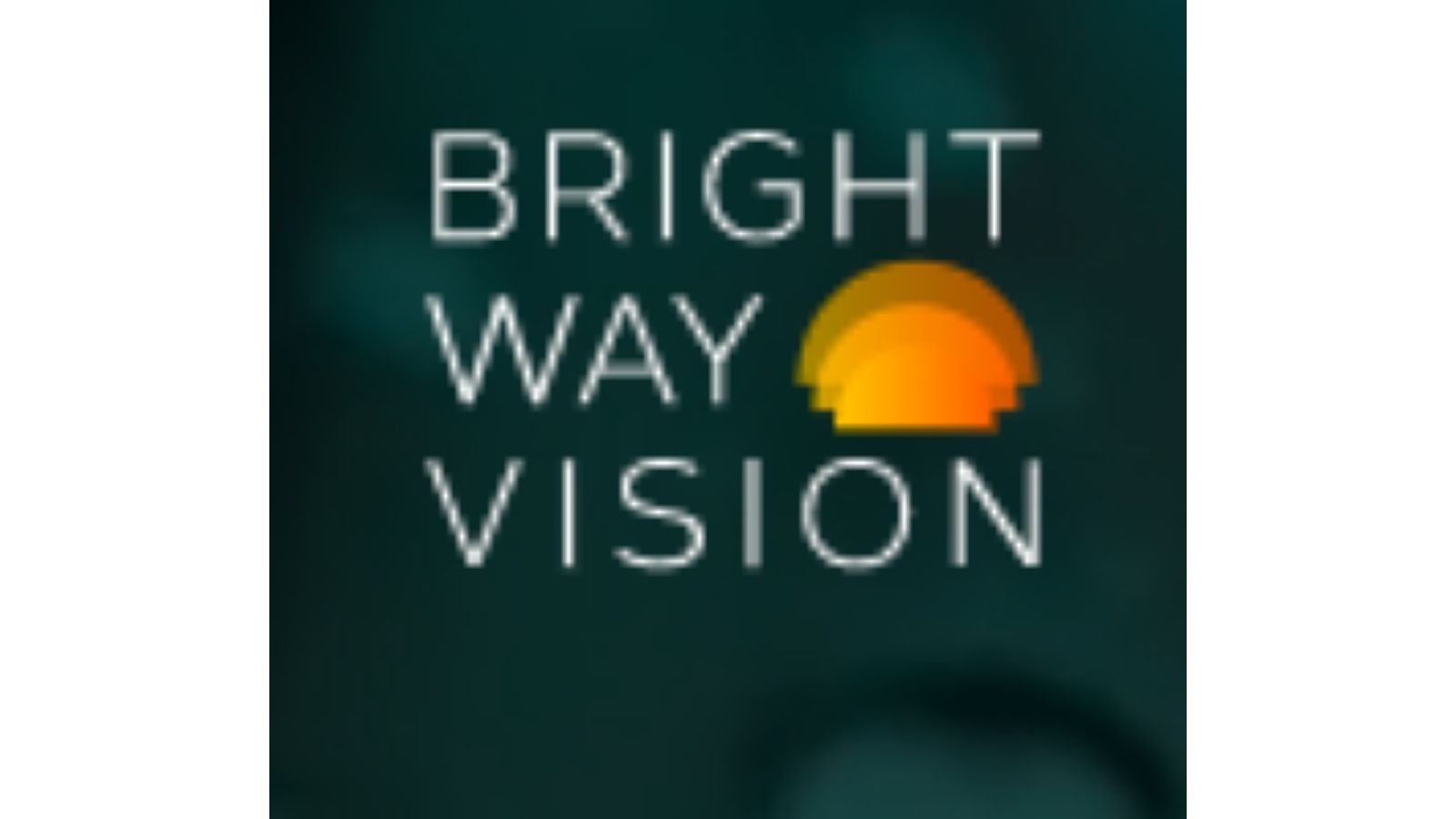 Bright Way Vision，一家以色列智能汽車解決方案的提供商