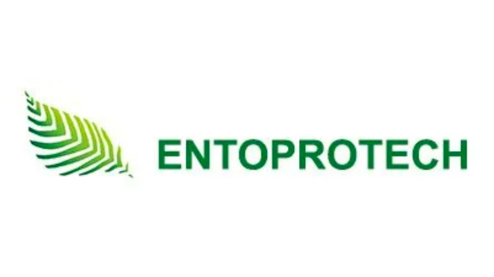 Entoprotech——利用昆蟲(chóng)來(lái)幫助解決緊迫的全球問(wèn)題